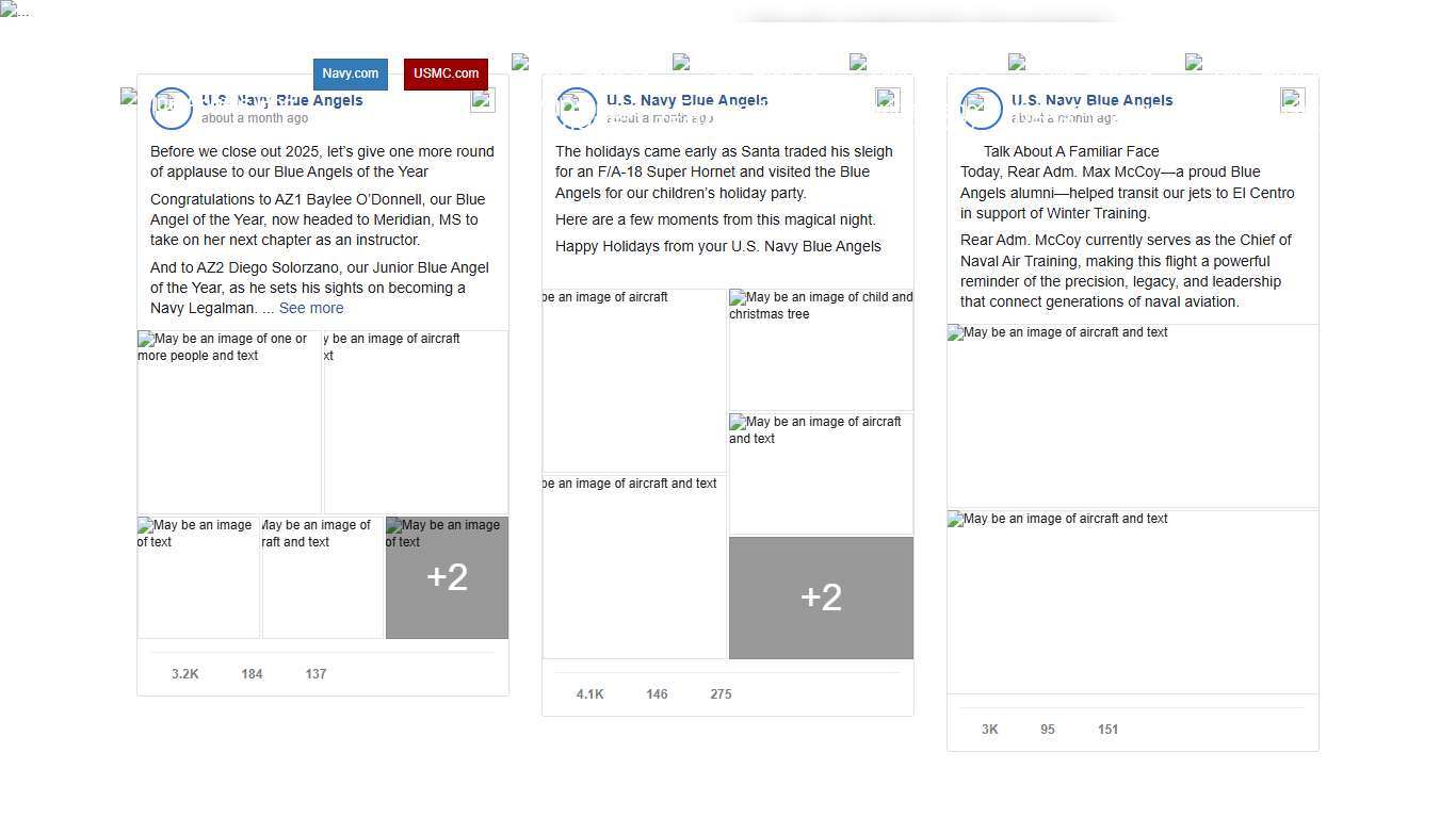 U.S. Navy Blue Angels